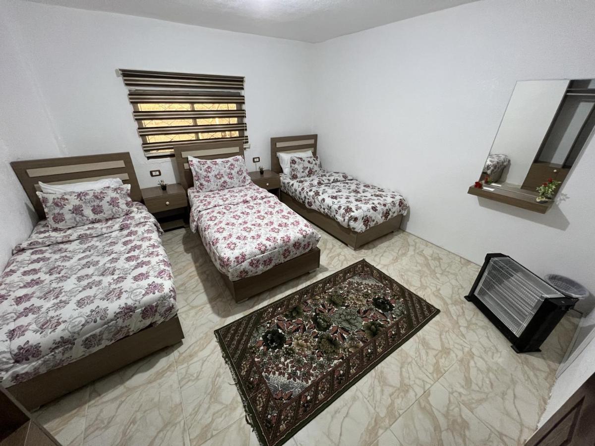 Z3 Hostel Wadi Musa Exteriör bild
